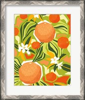 Framed Tangerine Grapefruit