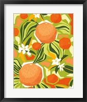 Framed Tangerine Grapefruit