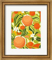 Framed Tangerine Grapefruit