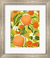 Framed Tangerine Grapefruit