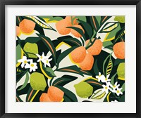 Framed Sweet Orange Lime