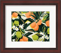 Framed Sweet Orange Lime