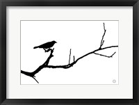 Framed Bird Silhouette