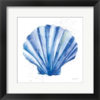 Framed Scallop Shell Sq