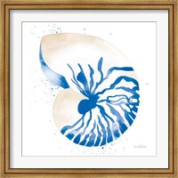 Framed Nautilus Sq