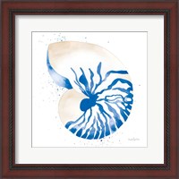 Framed Nautilus Sq