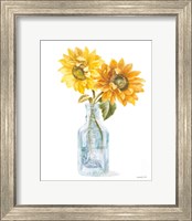 Framed Fresh Cut Sunflowers I