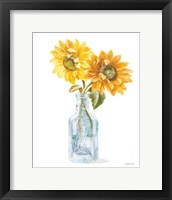 Framed 'Fresh Cut Sunflowers I' border=