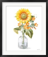 Framed Fresh Cut Sunflowers II