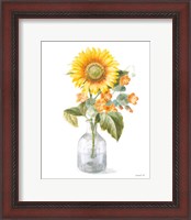Framed 'Fresh Cut Sunflowers II' border=