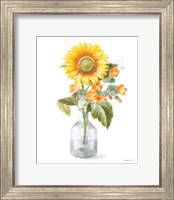 Framed Fresh Cut Sunflowers II