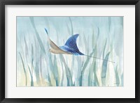 Framed Undersea Ray