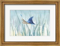 Framed Undersea Ray