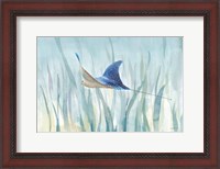 Framed Undersea Ray