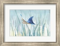 Framed Undersea Ray