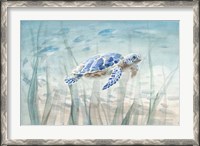 Framed Undersea Turtle