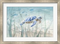 Framed Undersea Turtle