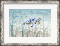 Framed Undersea Turtle