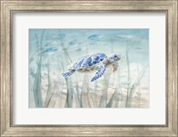 Framed Undersea Turtle