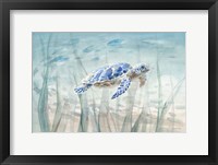 Framed Undersea Turtle