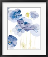Delicate Poppies II Blue Framed Print