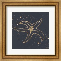 Framed Gold Starfish III