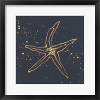 Framed Gold Starfish II