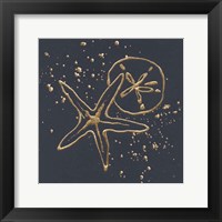 Framed Gold Sand Dollar Starfish