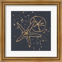 Framed Gold Sand Dollar Starfish