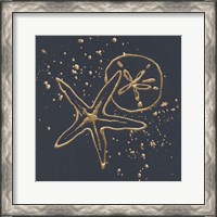 Framed Gold Sand Dollar Starfish