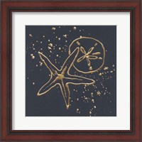 Framed Gold Sand Dollar Starfish