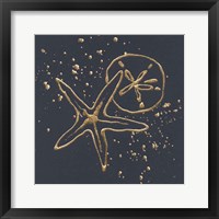 Framed Gold Sand Dollar Starfish