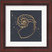 Framed Gold Nautilus II