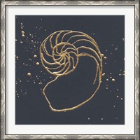 Framed Gold Nautilus II