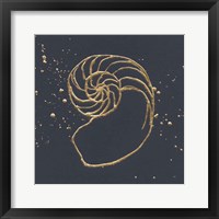 Framed Gold Nautilus II