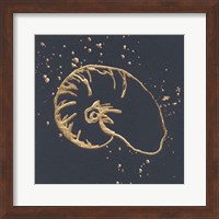 Framed Gold Nautilus I