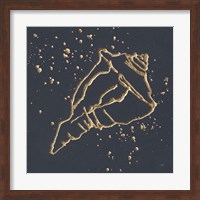 Framed Gold Conch IV