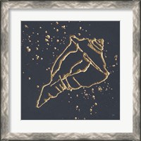 Framed 'Gold Conch IV' border=