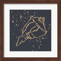 Framed Gold Conch IV