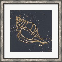 Framed Gold Conch III