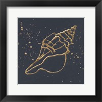 Framed Gold Conch II