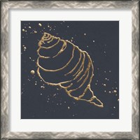 Framed 'Gold Conch I' border=