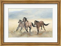 Framed Wild Mustangs
