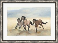 Framed Wild Mustangs