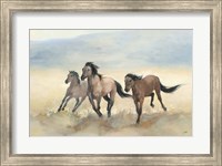 Framed Wild Mustangs