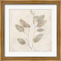 Framed Plantlife II