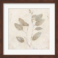 Framed Plantlife II