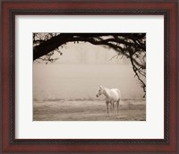 Framed Hazy Horse II