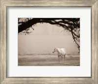 Framed Hazy Horse II