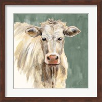Framed White Cow on Sage